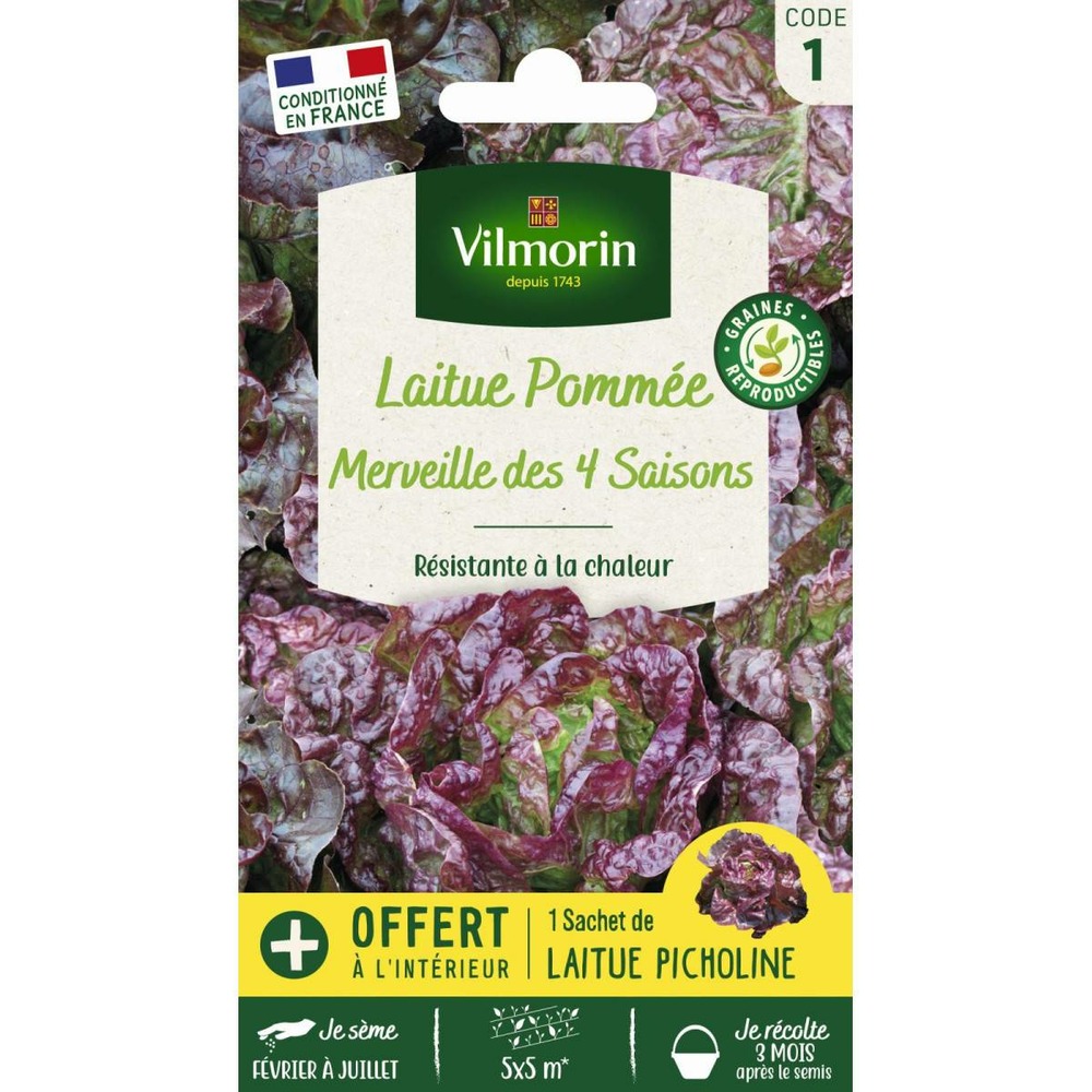 Sachet graines laitue merveille des quatre saisons