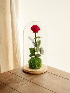 Très grande rose éternelle sous cloche - jaune