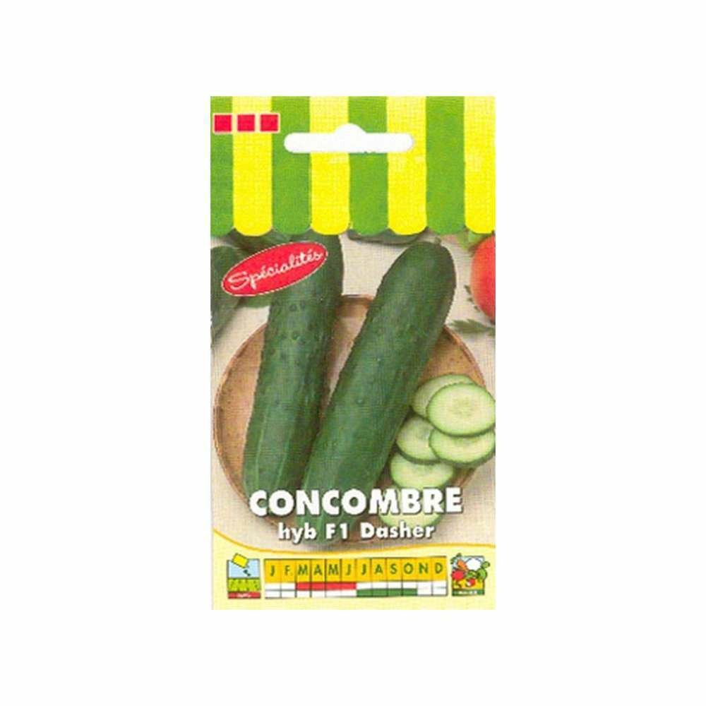 Graines de concombre hyb f1 dasher