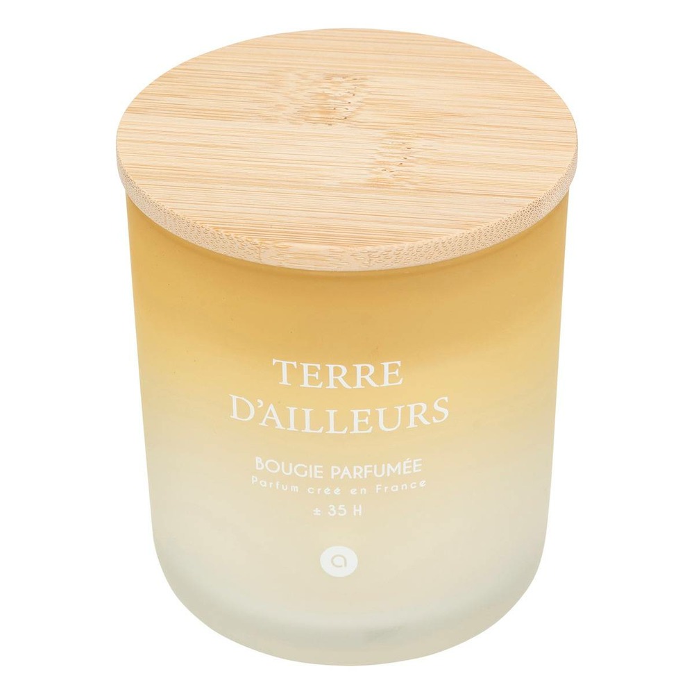 Bougie parfumée sana 255g pot verre terre d'ailleurs