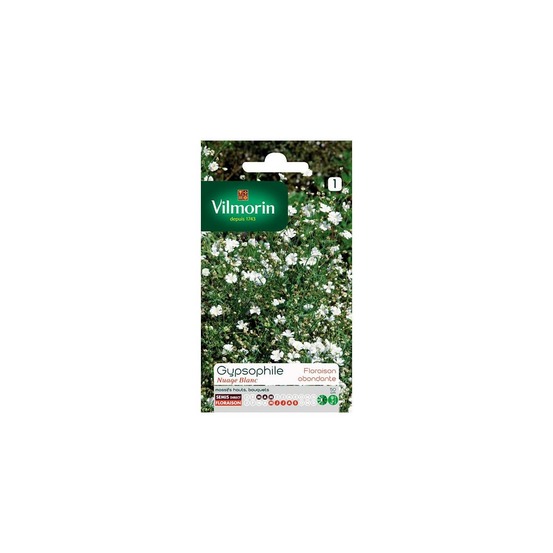 Sachet graines gypsophile nuage blanc