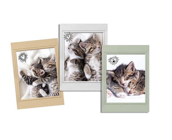 Lot de 3 torchons chats choupinou