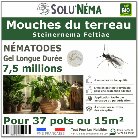 Solunema - nématodes steinernema feltiae contre mouches du terreau 7,5 millions