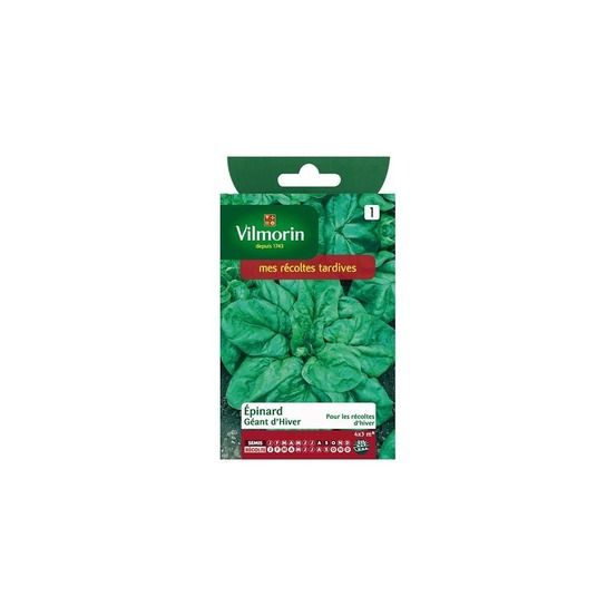 Sachet graines epinard geant d'hiver