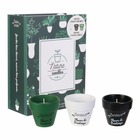 Coffret 3 bougies nature candles