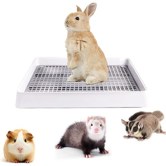 Toilette pour petits animaux