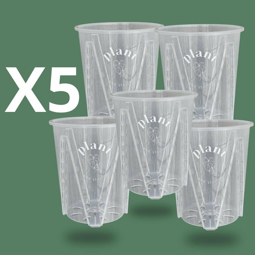Lot pot aracées transparent - pot de culture transparent pour plantes - pot de 12cm - x5 unités - pots seuls