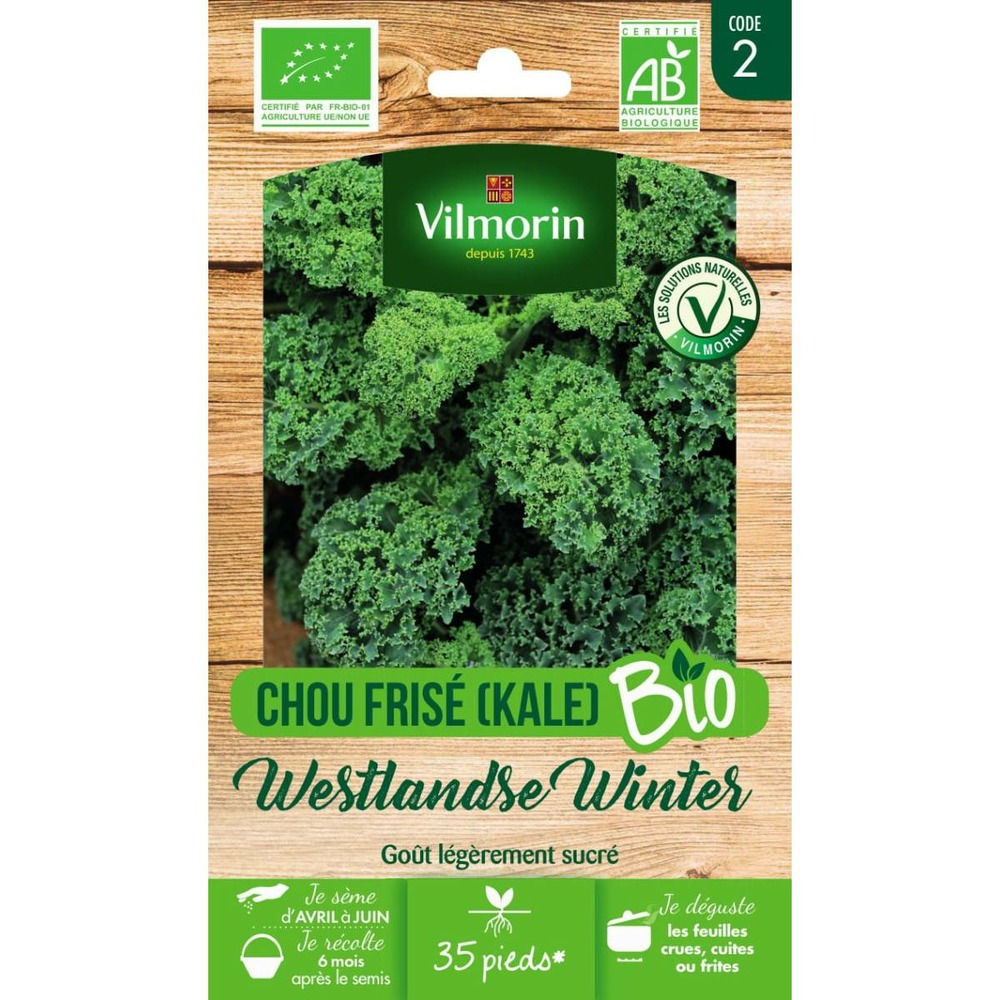Sachet graines chou frisé ( kale ) westlandse winter bio - brassica oleracea var
