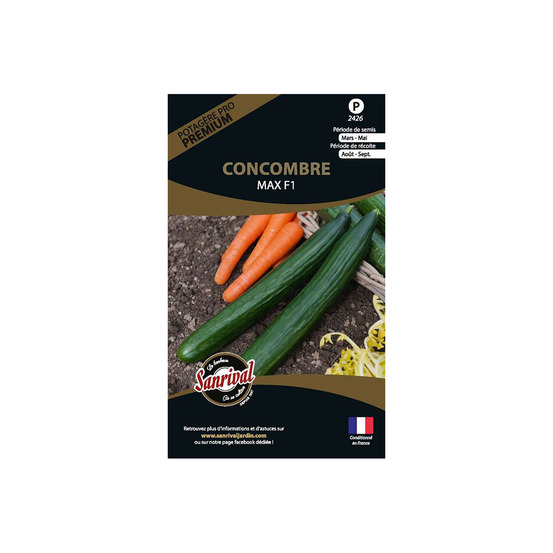 Graines potagères premium concombre max