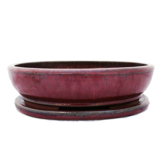 Bol bonsaï avec soucoupe taille 6 - rouge - ovale - modèle o3 - l 36cm - b 28cm - h 10cm