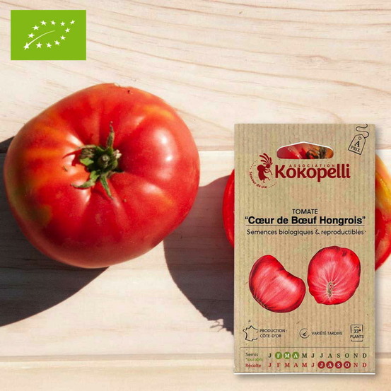 Tomate cœur de bœuf hongrois- graines bio à semer