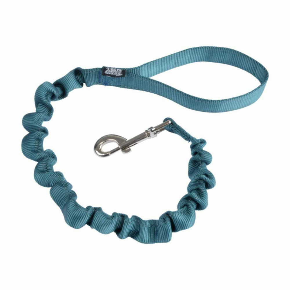 Laisse chien anti à coups 