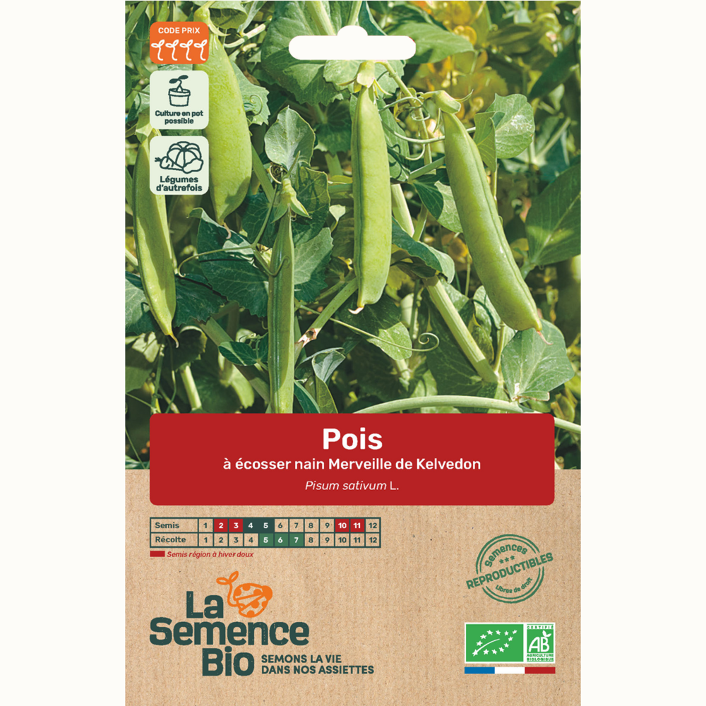 Pois nain à écosser merveille de kelvedon - graines bio