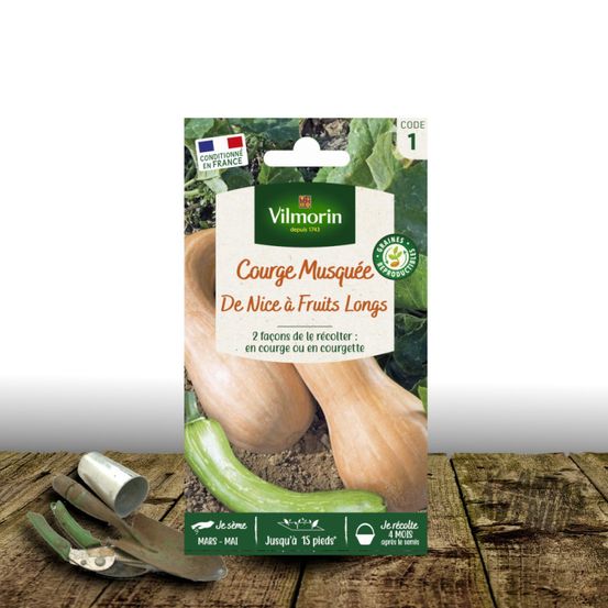 Graines de courge musquée longue de nice - vilmorin sachet