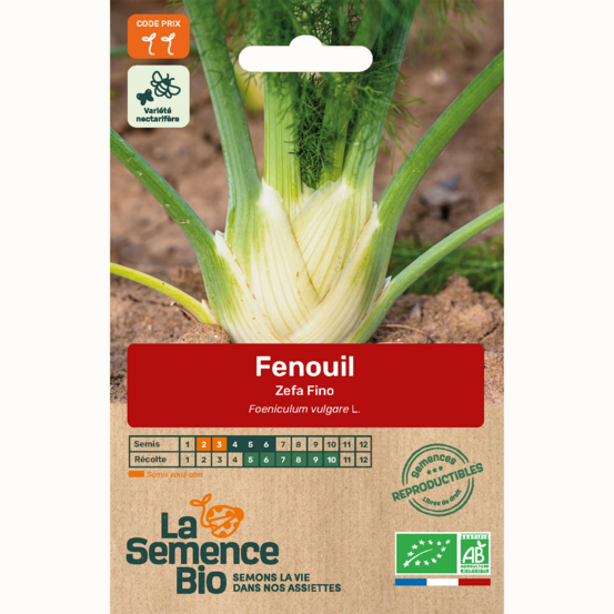 Fenouil zefa fino - graines bio