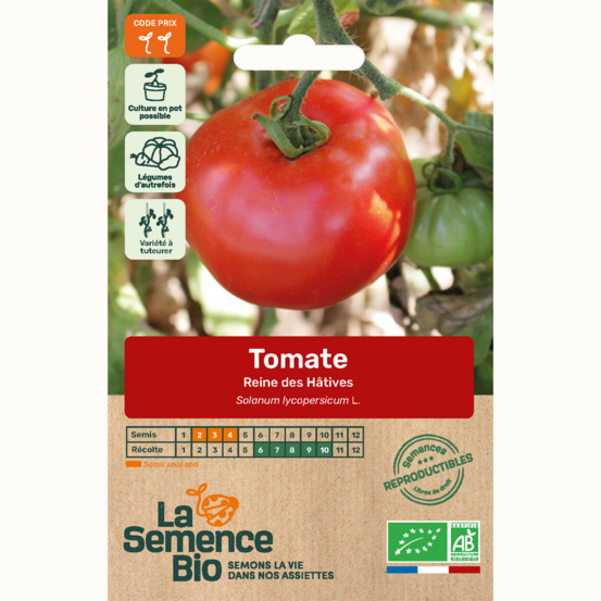 Tomate reine des hâtives - graines bio