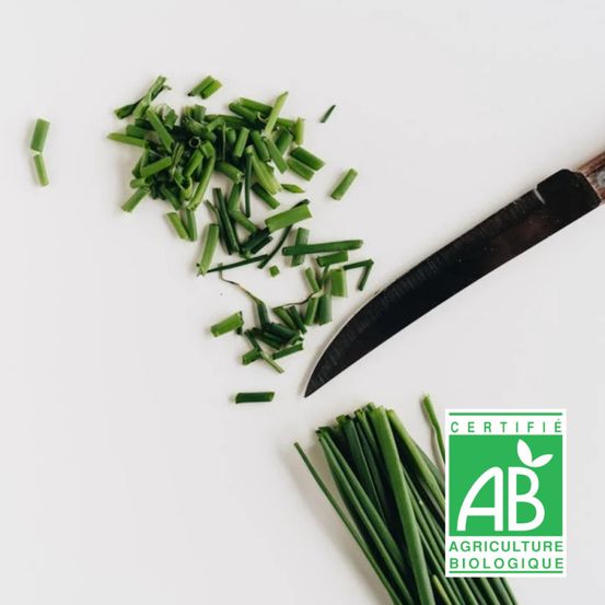 Graines de ciboulette très fine danoise - sans traitement - vilmorin sachet