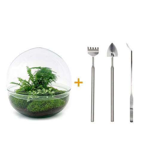 Diy terrarium - dome xl - h30 cm - ø30 cm