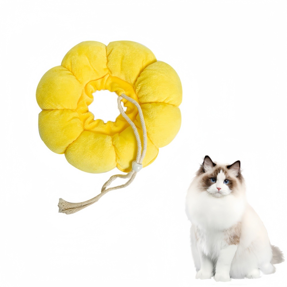 Collier de protection pour chat xs
