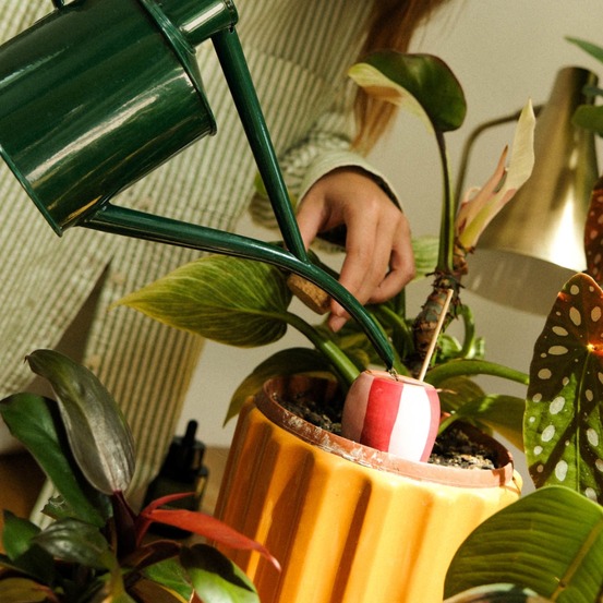 Trio mini olla - les rayés - pepin