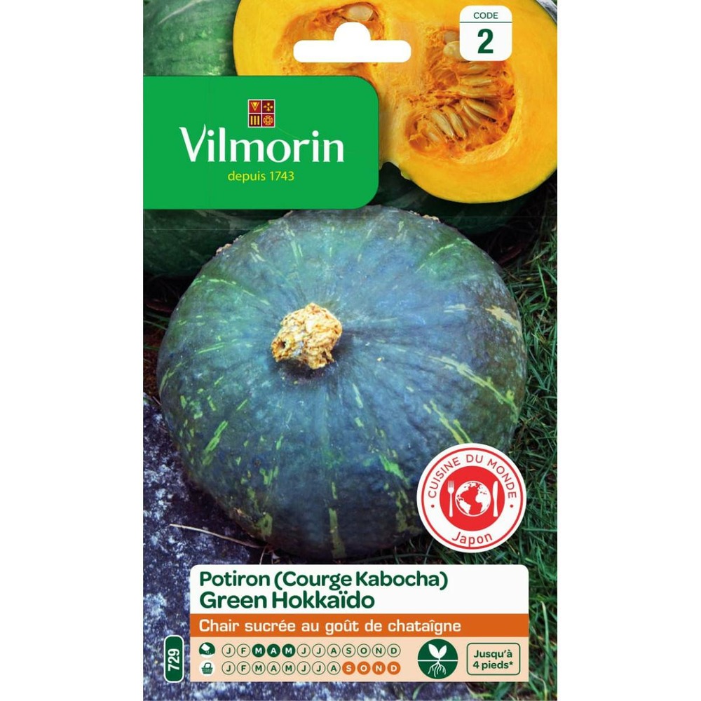 Sachet graines potiron ( courge kabocha ) green hokkaido