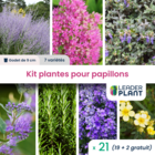 Kit plantes pour papillons - 7 variétés - lot de 21 godets