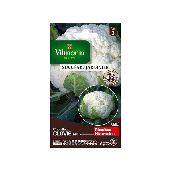 Sachet graines chou fleur clovis hf1