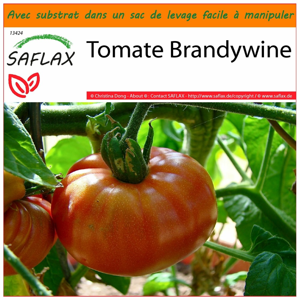 Garden in the bag - tomate brandywine - 10 graines - lycopersicon esculentum