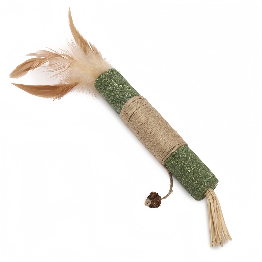Bâtonnets de dentition à herbe à chat : jouet anti-ennui résistant aux morsures