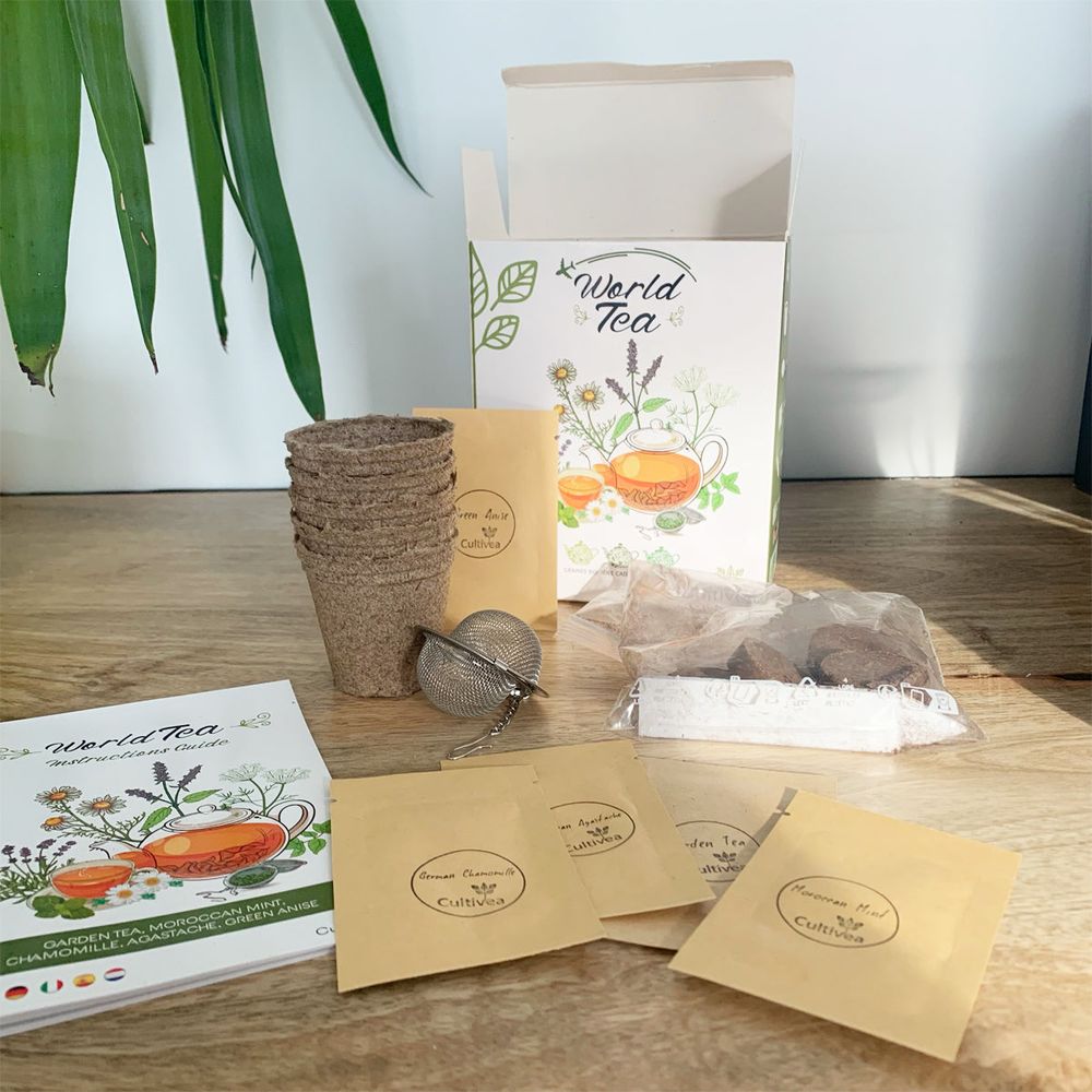 Coffret : je fais pousser mes thés du monde bio