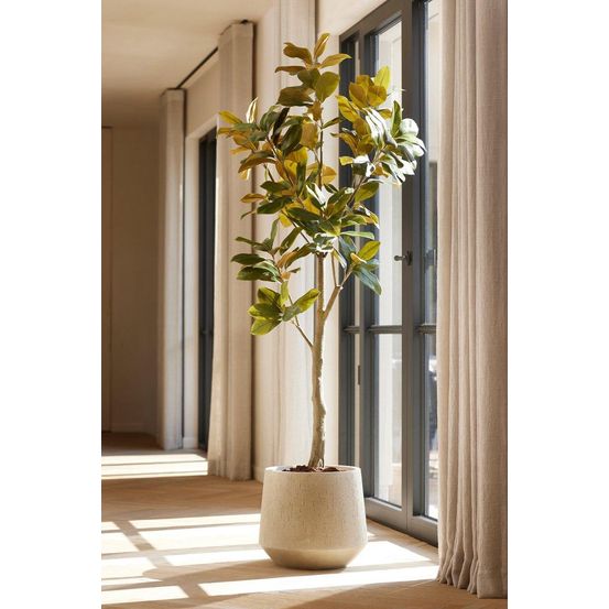 Magnolia plante artificielle h150 cm