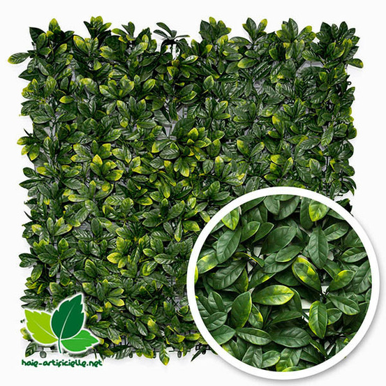 Feuillage artificiel imitation laurier cerise - 1m x 1m