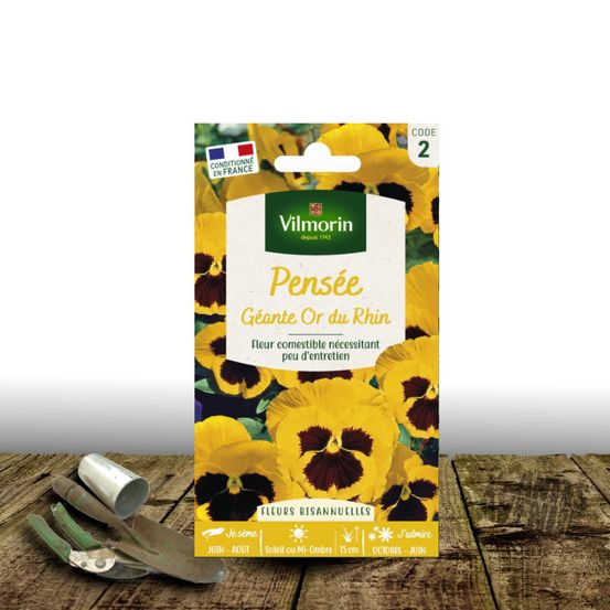 Graines de pensée géante or du rhin - vilmorin sachet