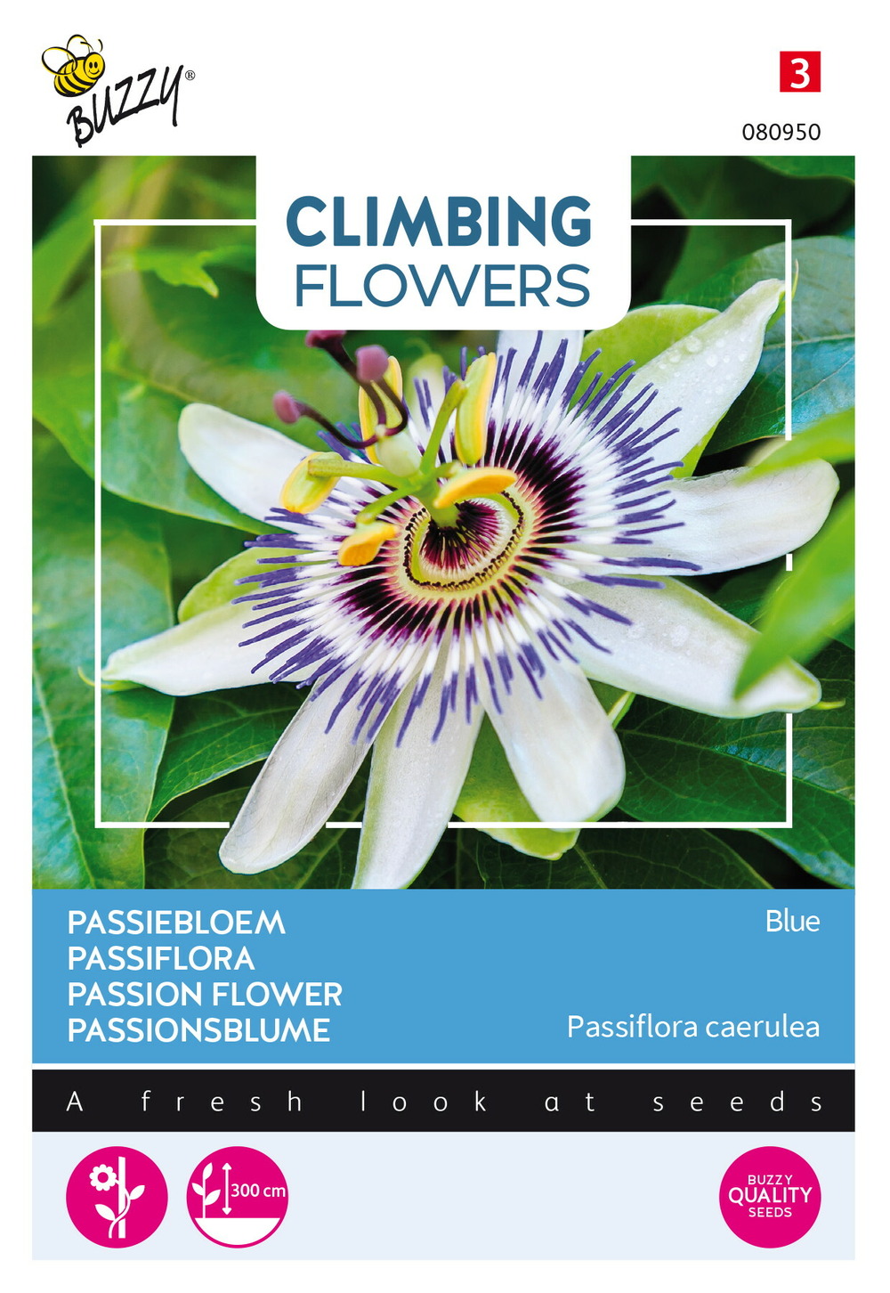 Buzzy climbing flowers, passiflora bleu - ca. 0,5 gr