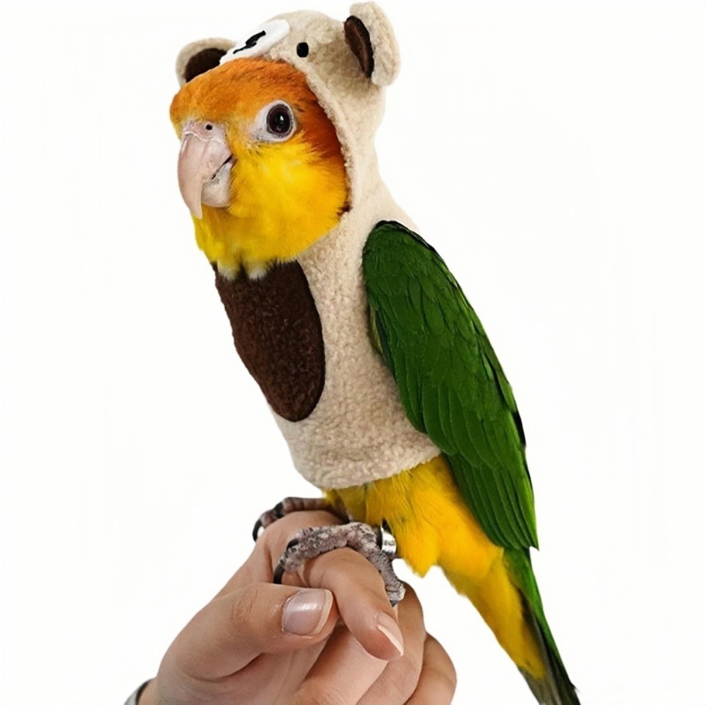 Pantalon de pigeon - tissu en forme d'ours