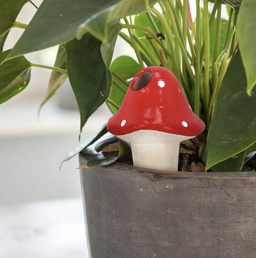 Diffuseur d'eau pour plantes en terre cuite - amanite