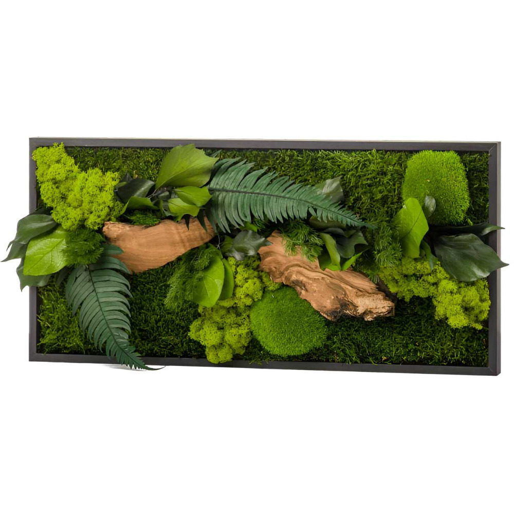 Tableau végétal stabilisé canopé rectangle 57 x 27 cm