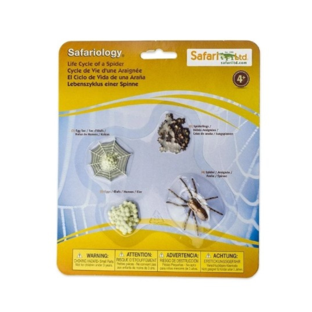Figurines cycle de vie - araignée