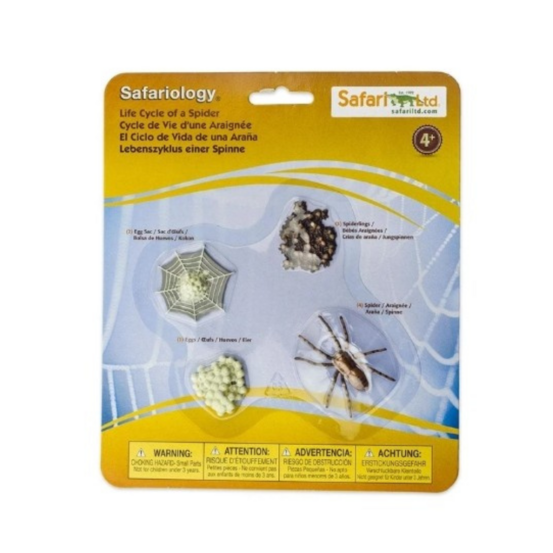 Figurines cycle de vie - araignée