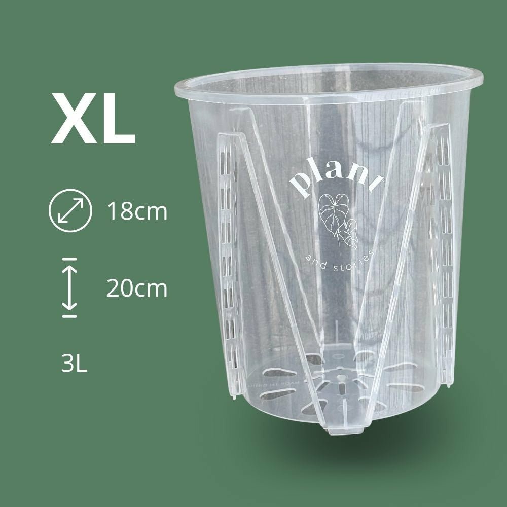 Pot aracées transparent - pot de culture transparent pour plantes - pot de 18cm - x5 unités