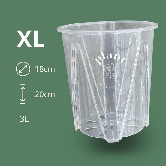 Pot aracées transparent - pot de culture transparent pour plantes - pot de 18cm - x5 unités