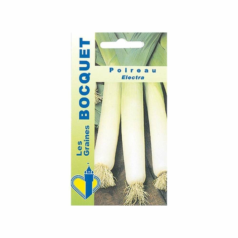 Graines de poireau electra