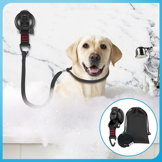 Laisse à ventouse pour chien dtopbuyage