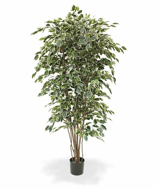 Ficus arbre artificielle exotica deluxe 210 cm panaché