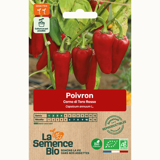 Poivron corno di toro rosso - graines bio
