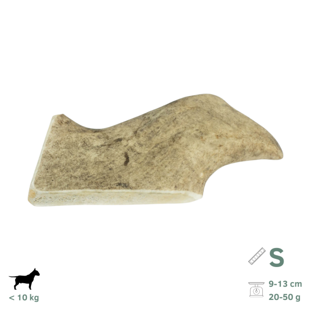 Bois de daim pour chien s 9-13 cm