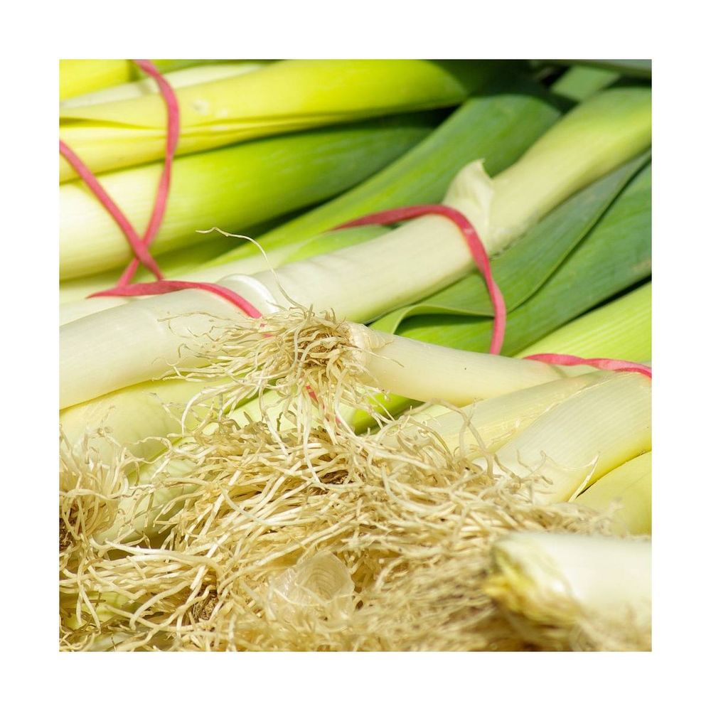 Graines De Poireau Long De Mézières - Variété Ancienne Rustique Pour Potager - 100 Semences Reproductibles
