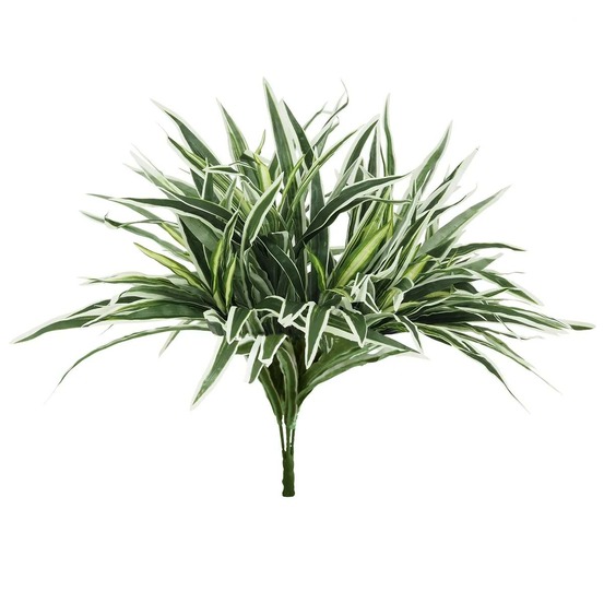 BOUQUET DE CHLOROPHYTUM A 1-(957764)