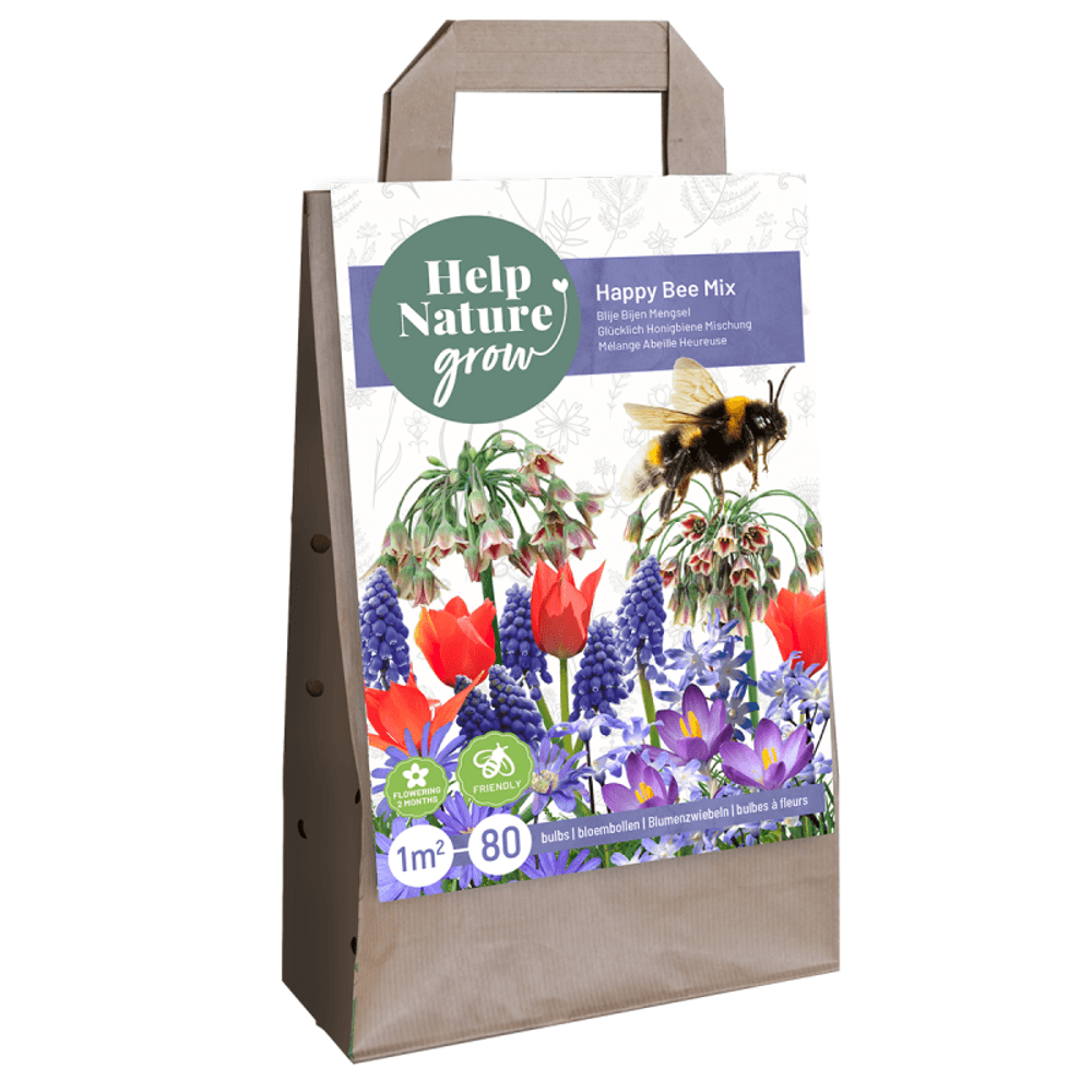 Bulbes pour abeilles happy bee x80 violet