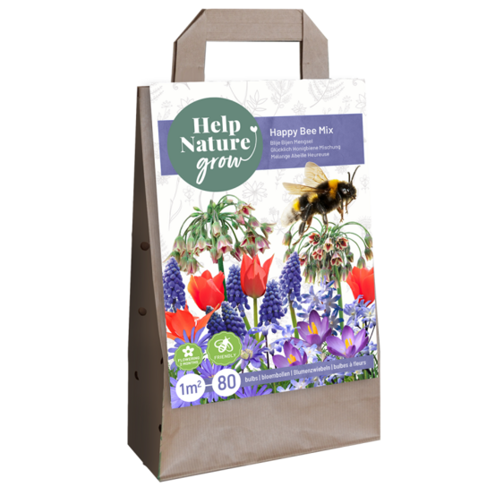 Bulbes pour abeilles happy bee x80 violet